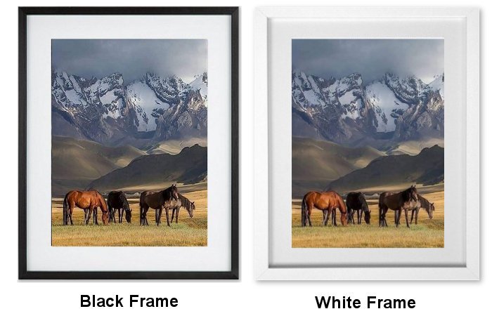 Grazing Horses Framed Print